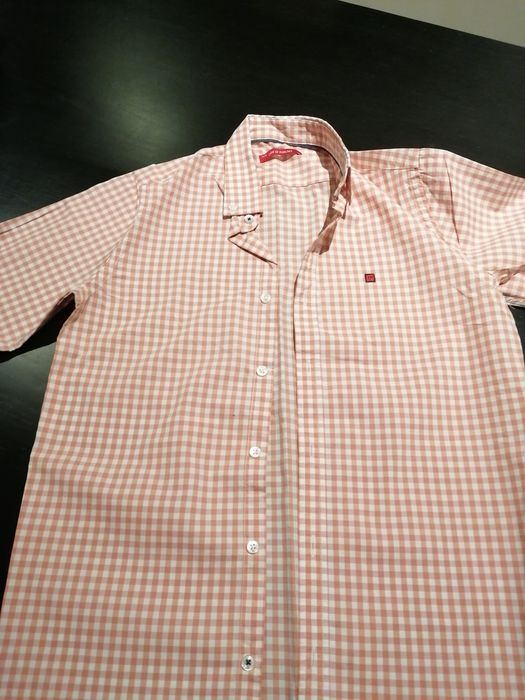 Camisa Lion of Porches