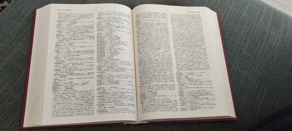 Dicionário Português-Chinês