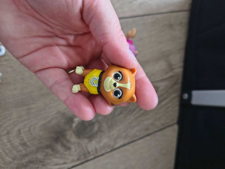 Koty kotki Hunfingera psi patrol paw patrol