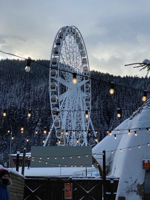 Відпочинок в Буковелі 20.12.25-23.12.25 з сніданками на 6 чол