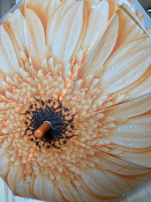 Парасолька