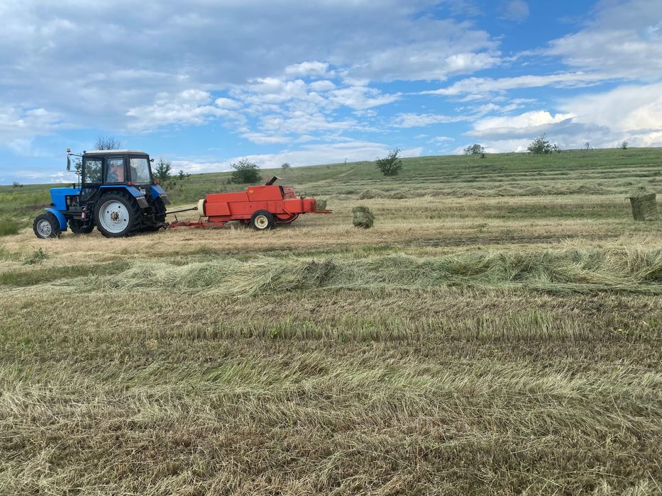 Продам сіно в тюках