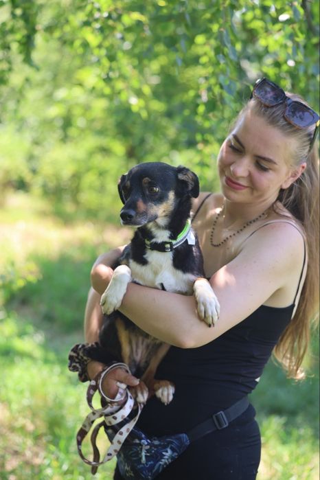 8kg sunia 2lata do adopcji