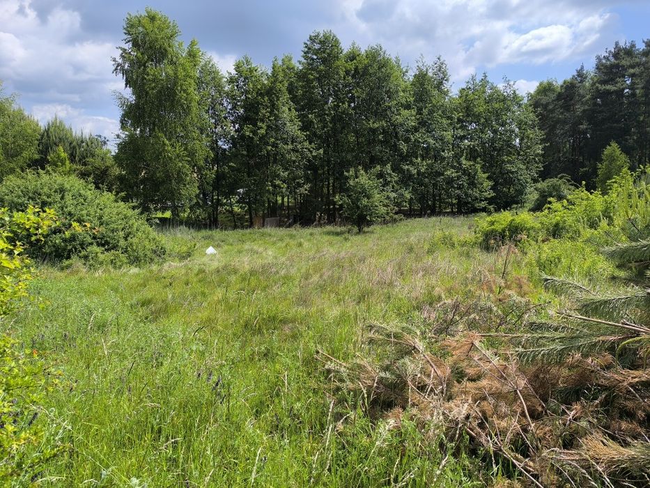 Malownicza działka nad jeziorem