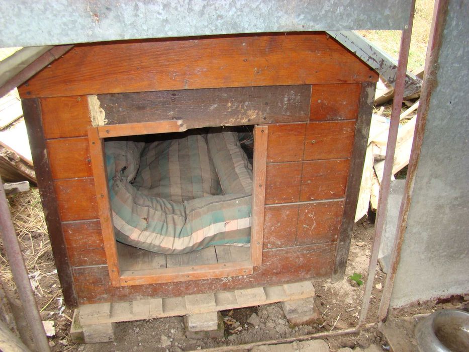 Buda dla psa używana