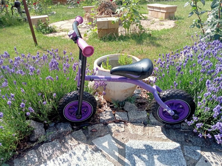 Rowerek biegowy Milly Mally Wroclaw