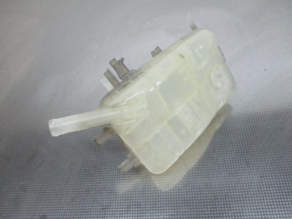 Vaso Expansao / Radiador RENAULT Scénic III (JZ0/1_)