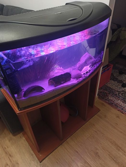 Sprzedam akwarium 112 l panorama