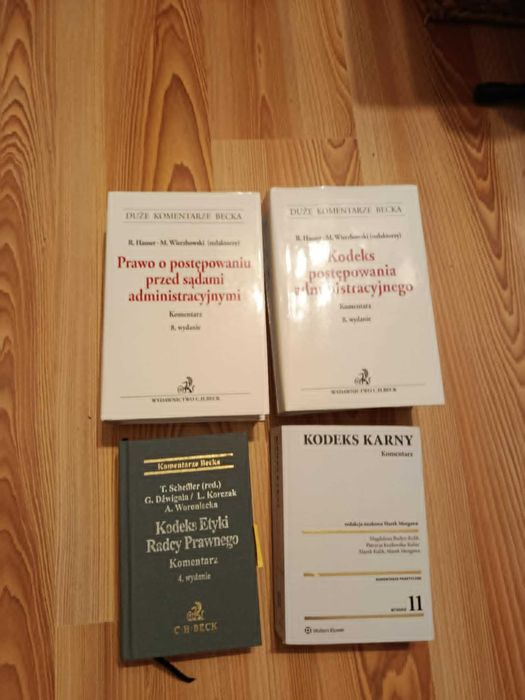 Komentarz do PPSA. Hauser, Wierzbowski. Wyd. 8