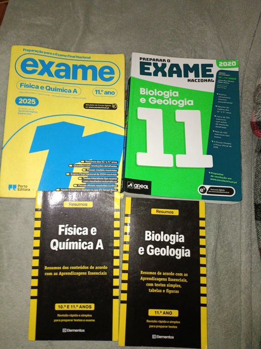 Explicações de Biologia e Geologia/Física e Química 10/11° ano