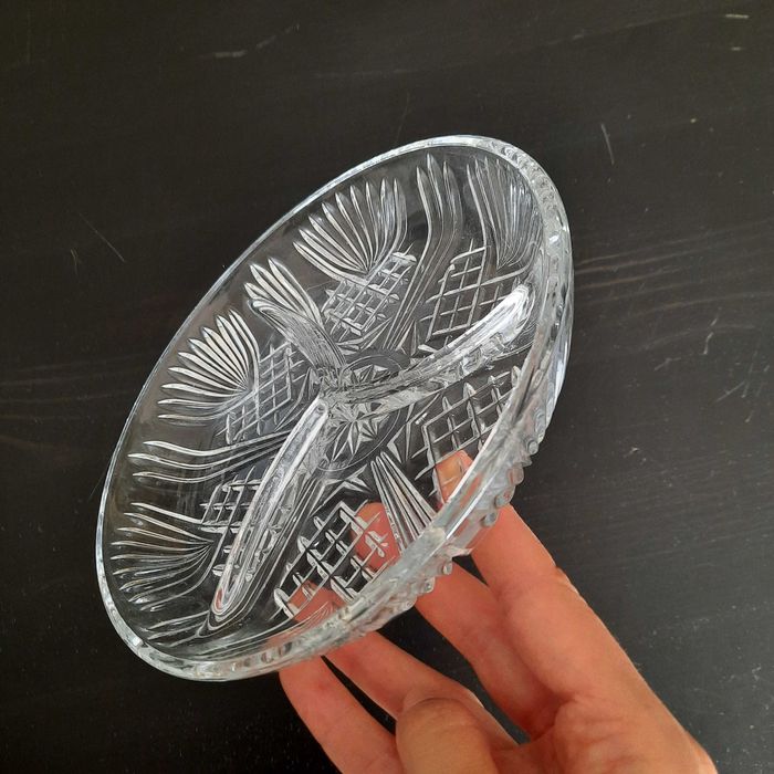 Partitioned appetizer plates64739548925569121