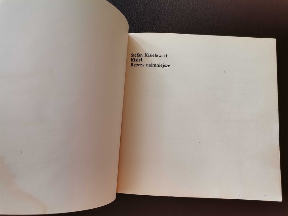 Stefan Kisielewski Rzeczy najmniejsze książka