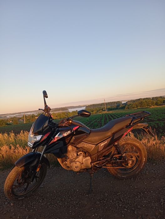 Shineray ds200   торг
