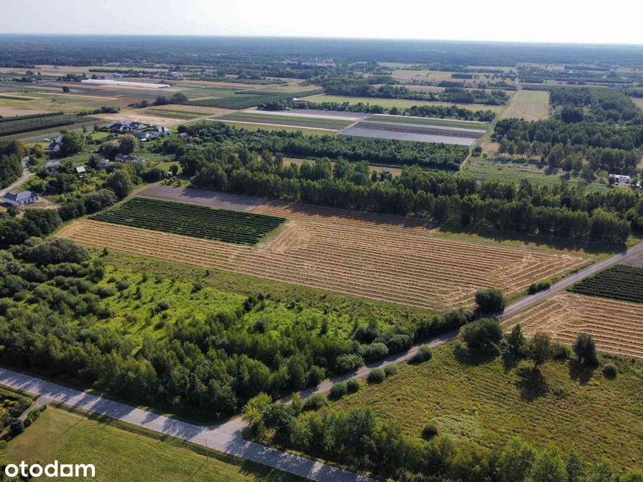 Działka pod Inwestycje 2, 67 ha Gąski k. Tarczyna