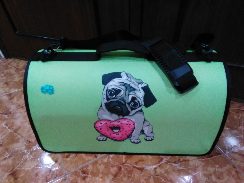 Transportadora para animais cão gato papagaio galinha periquito piurra casa quarto apartamento vivenda gabinete escritório carro