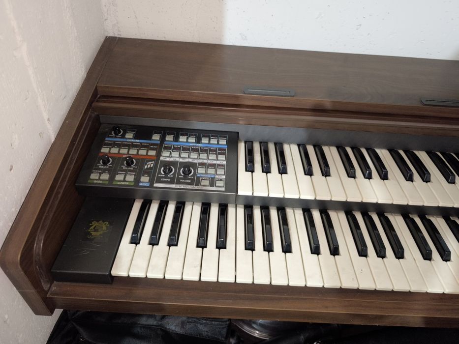 Órgão eletrônico