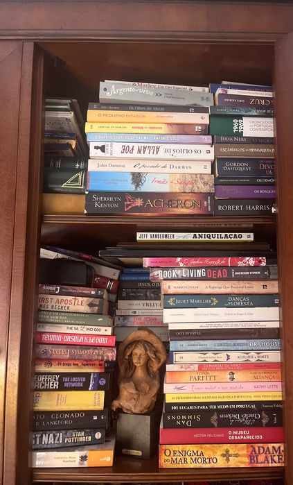Livros usados e bem estimados