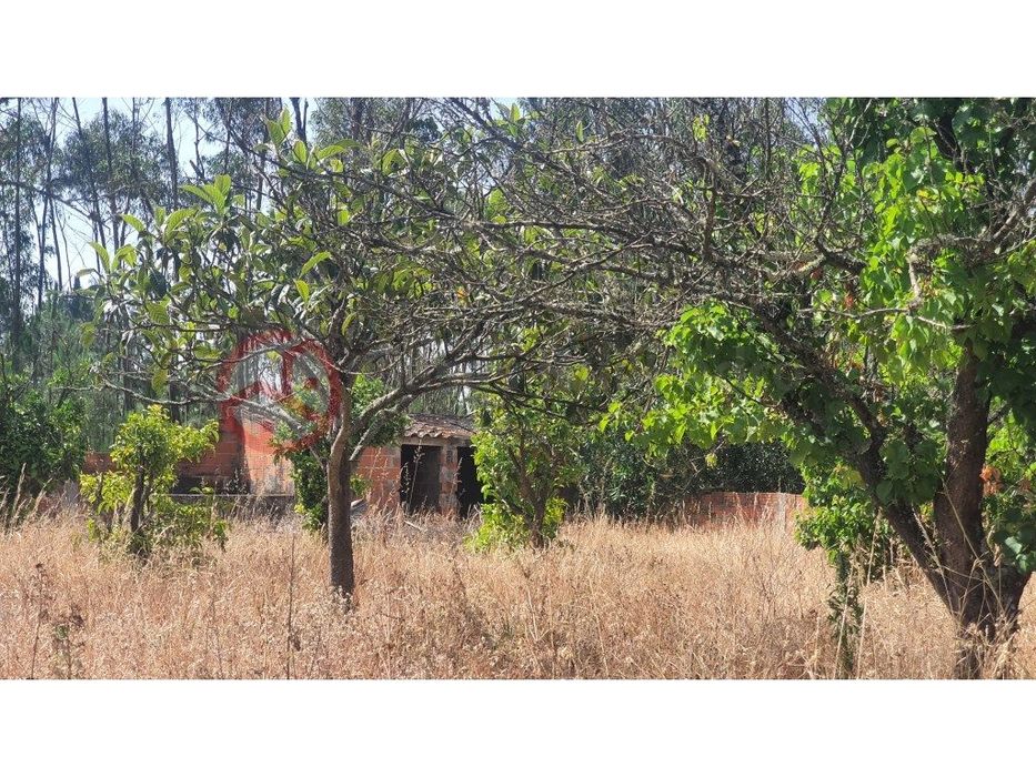 Terreno Rústico na Qta. da Lobateira, com construção, Fernão Ferro