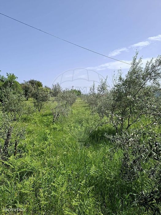 Terreno  para venda