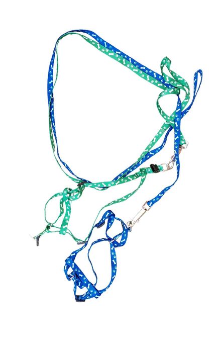 Coleira para Gato ou Cão Verde NOVA