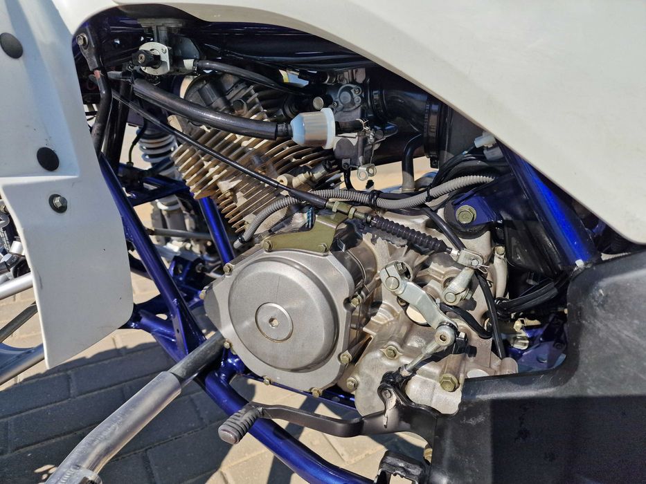 Suzuki LTZ 250 Quadsport