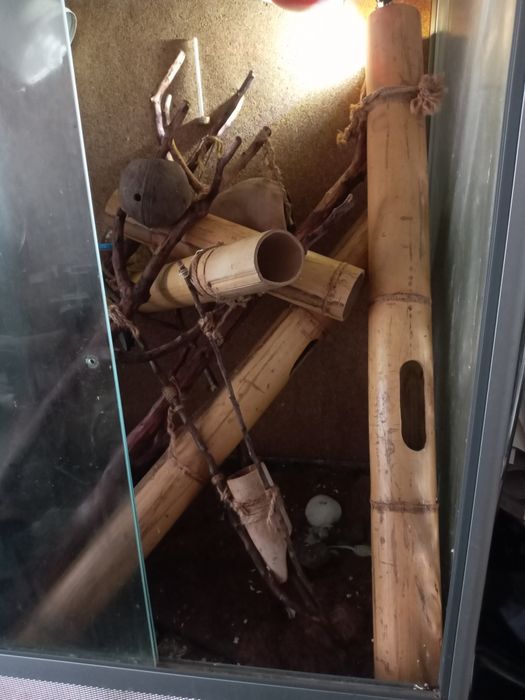 Продам террариум