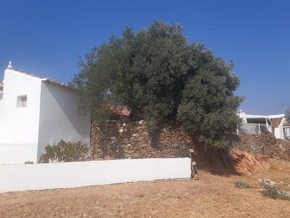 Casa de aldeia para remodelar