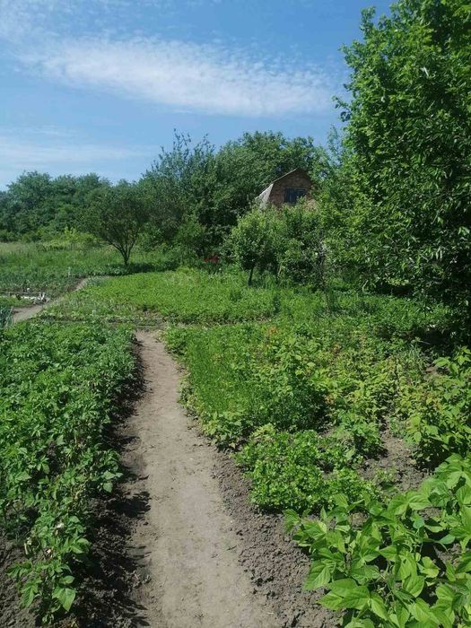 Продам ділянку в Лезнево