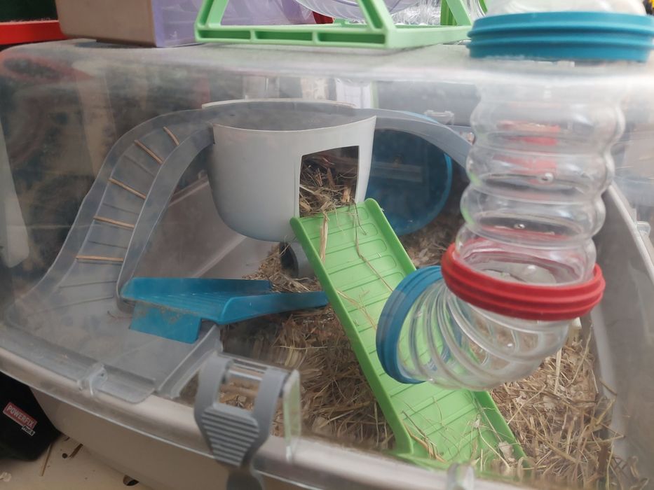 Gaiola da hamsters
