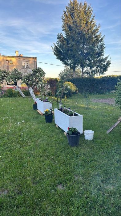 Termodonice na wymiar