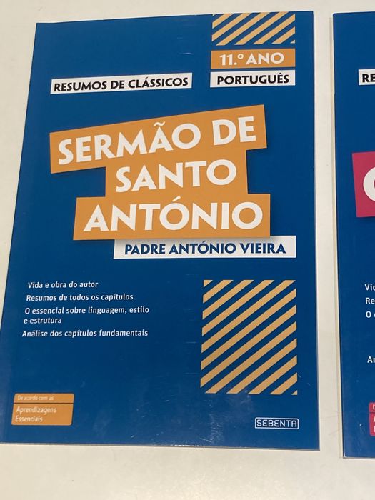 Livros "Resumos Clássicos" 11° ano