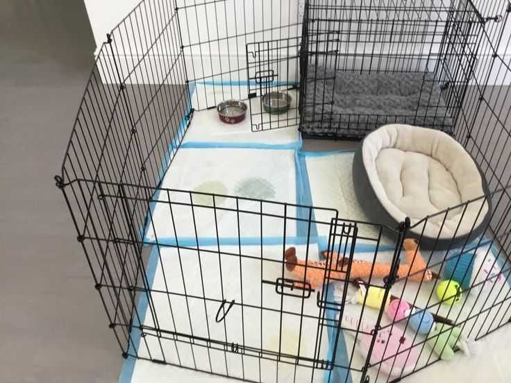 Клетка 180х60х76 манеж с дверкой  8-секций клітка для щенков собак