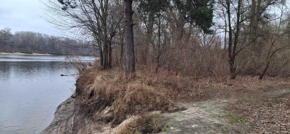 Супер ділянка! 87 соток з виходом на річку Дніпро!