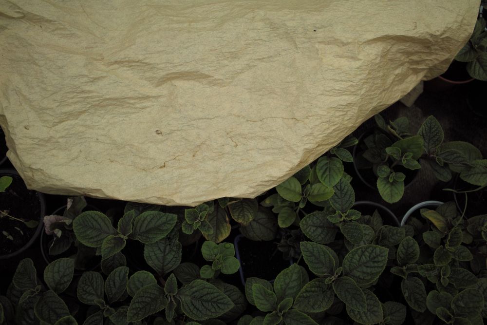 Камери Sigma Dp1/Dp1s