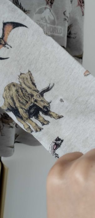 Piżama dla chłopca góra od piżamy dinozaury szara 110/116 H&M