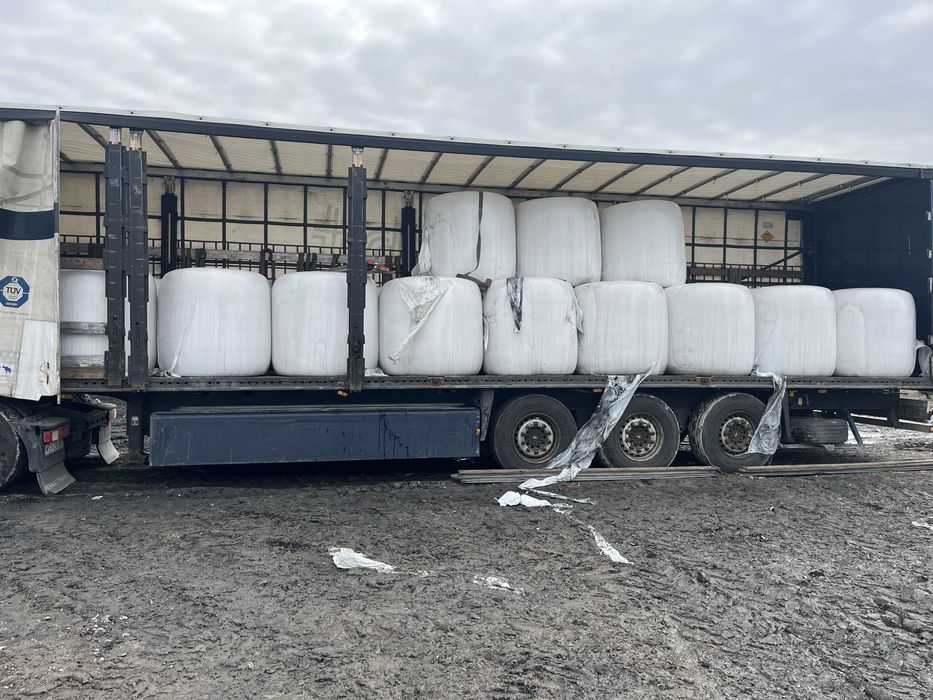 Kiszonka z kukurydzy w belach możliwy transport