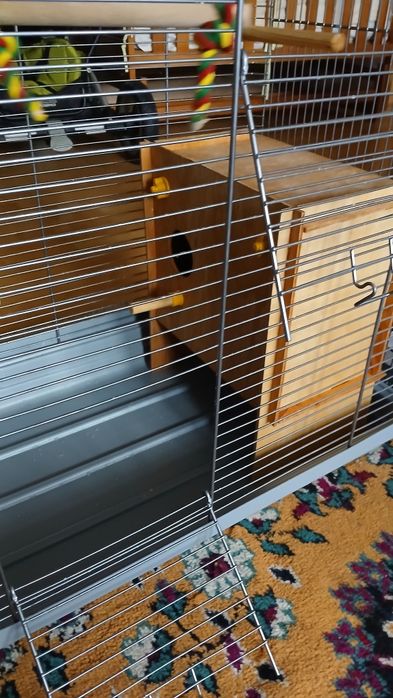 Продається клітка зі всім в ідеальному стані.