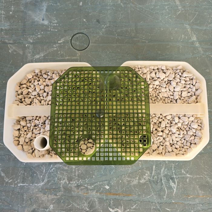 Filtro externo seco húmido eheim professinel 2227