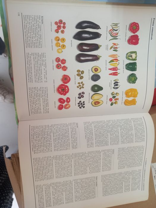 Livros Culinária, artesanato e bricolage