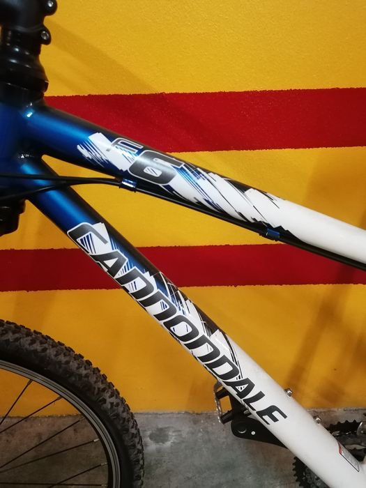 Bicicleta montanha