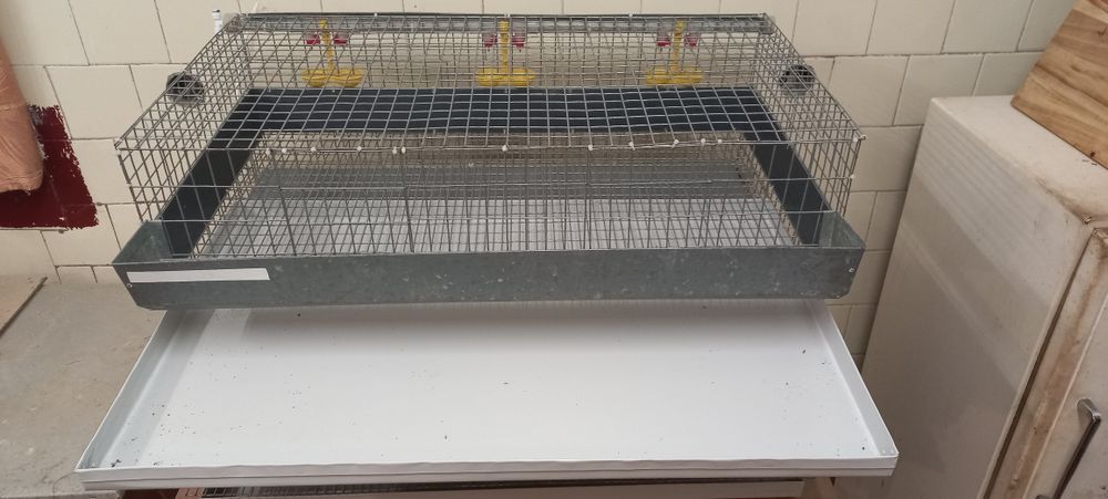 Продам клітки для перепілок- підлітків