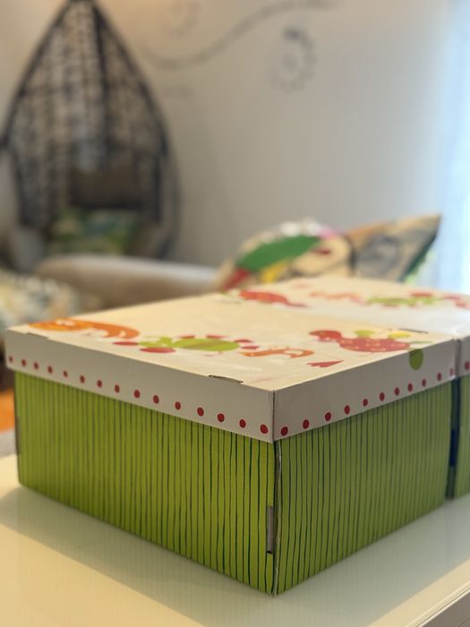 2 caixas para arrumacao