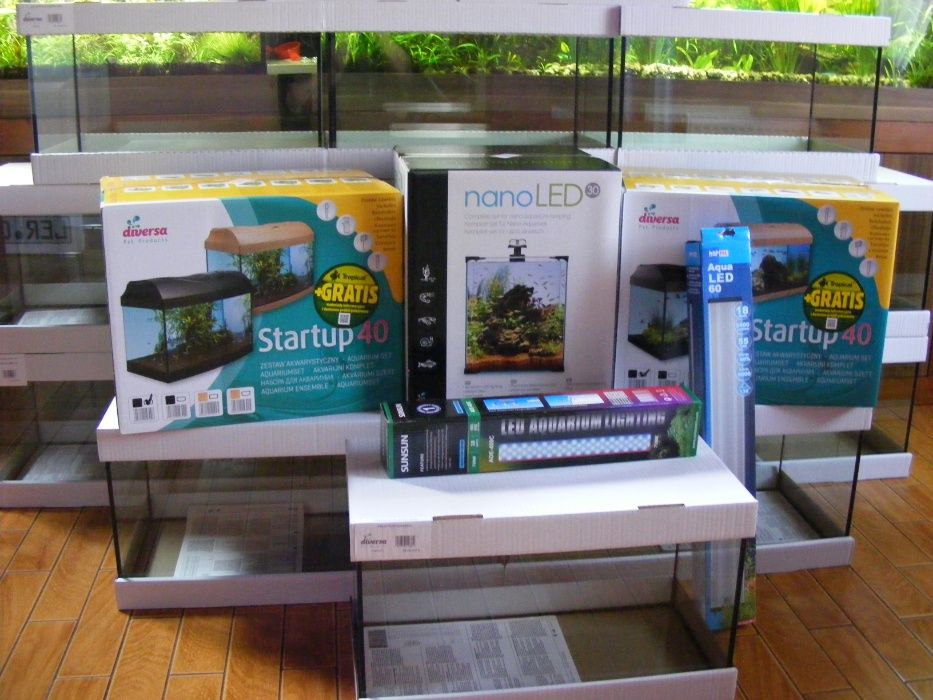 GB akwarium 50x30x30 (43l) diversa