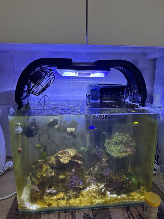 Vendo aquario marinho uegente