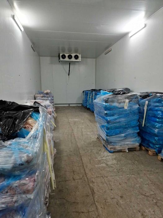 Здаються в оренду морозильні камери