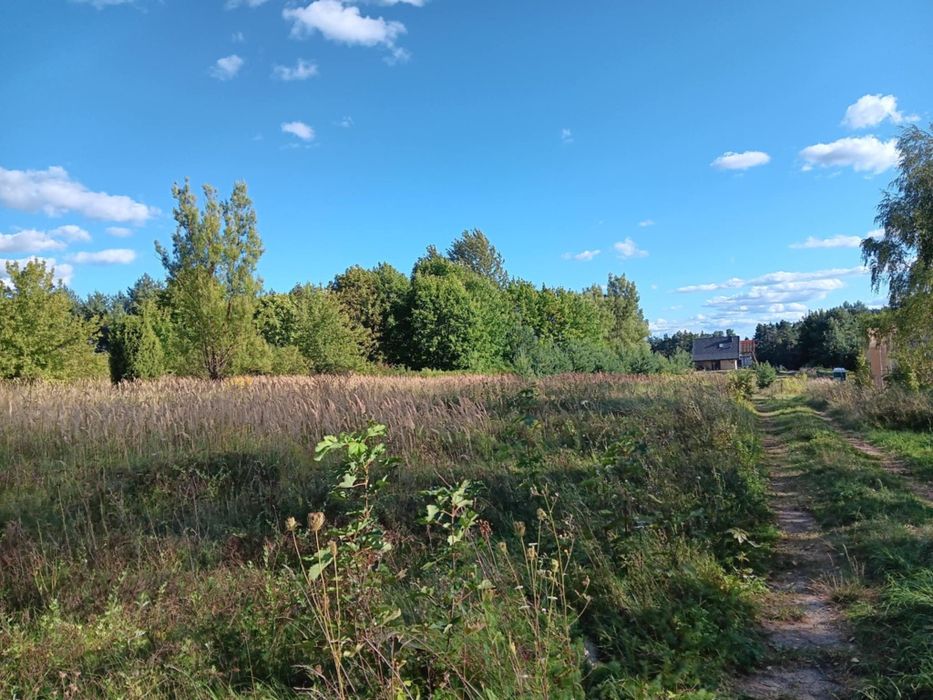 Działki 5 oraz 6 arów