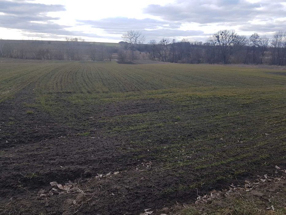 Продам будинок з виходом до річки