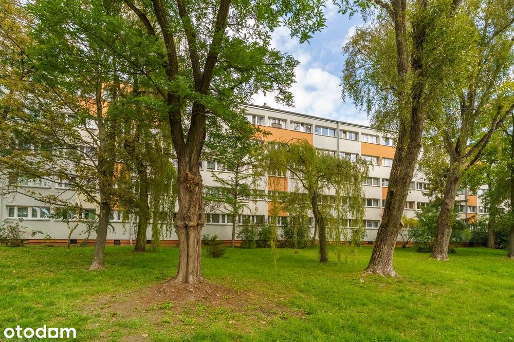TEOFILÓW 2 pokoje z balkonem | Łódź, ul. Rojna – blisko ul. Rydzowej