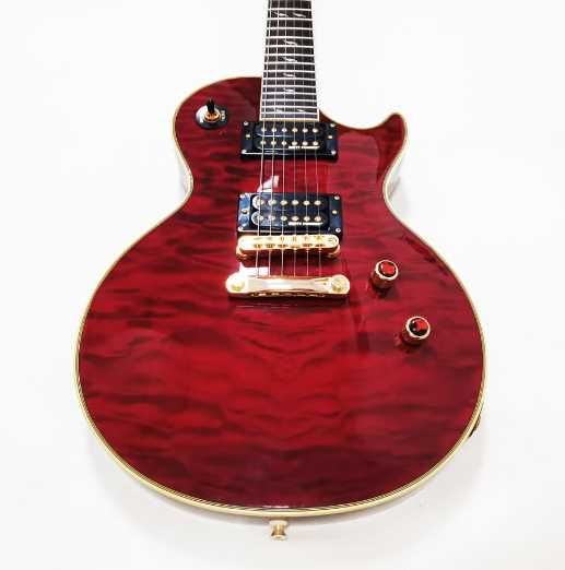 Epiphone Les Paul Custom Prophecy - Gibson Dirty Fingers