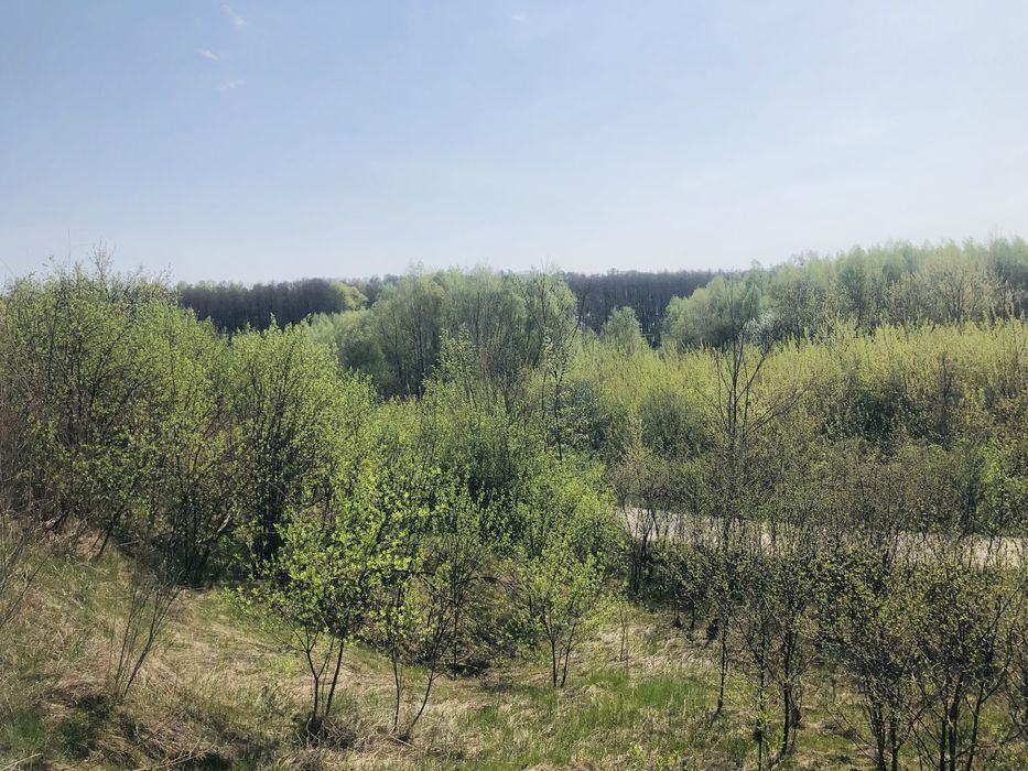 Земельна ділянка з асфальтованим під‘їздом